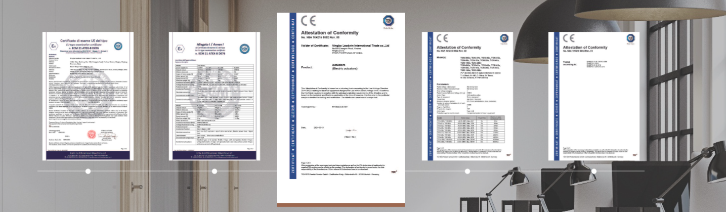 Electric actuator valve certification